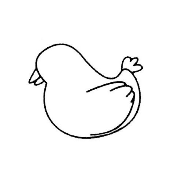 Examples and steps of simple drawing of a hen