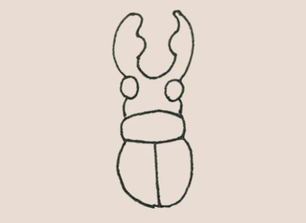 Simple drawing of beetle