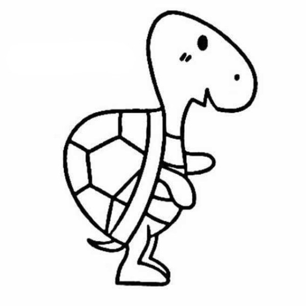 Simple drawing of standing turtle