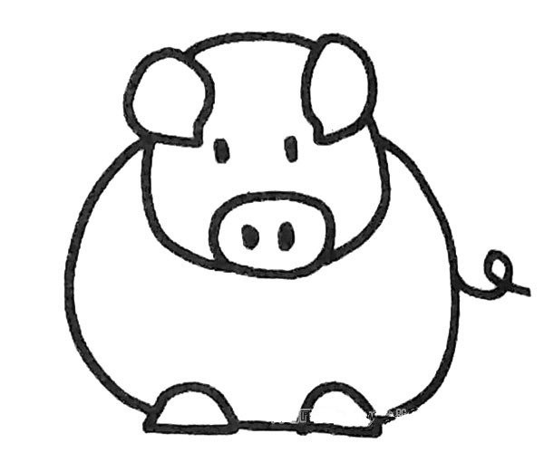 Learn to draw a pig in four steps