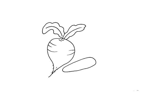 How to draw a radish