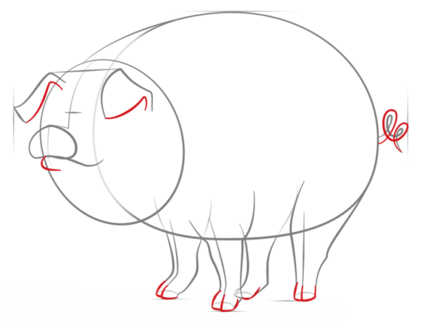 How to Draw a Cartoon Pig Simple Drawing