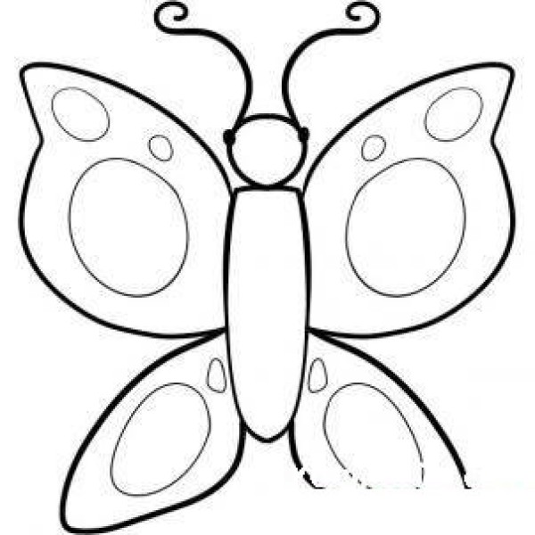 Beautiful butterfly simple strokes picture