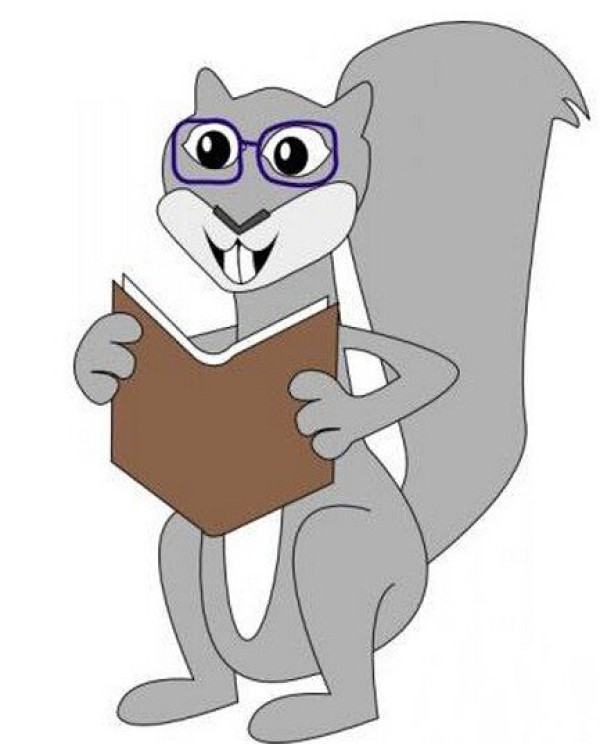 Simple drawing of little squirrel reading a book