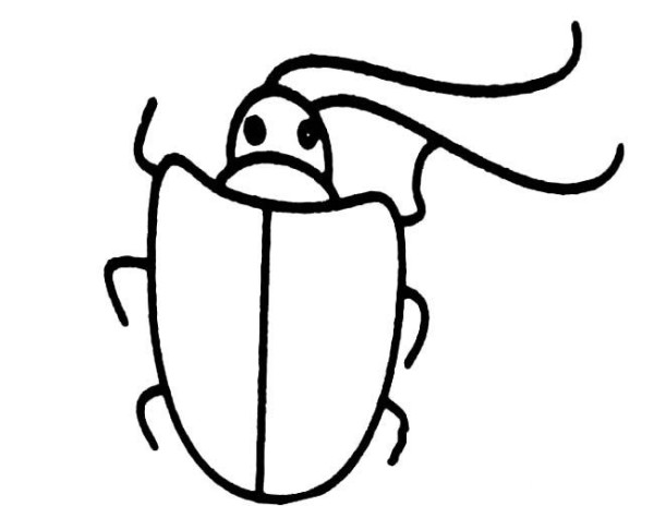 Complete collection of simple drawings of insects Beetle simple drawings