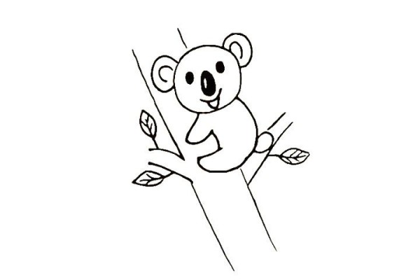 How to draw a simple koala