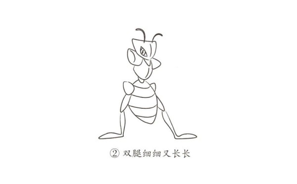 Learn to draw a cartoon mantis step by step