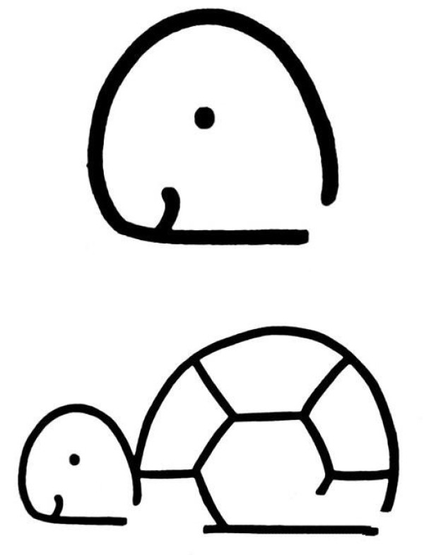 How to draw a cartoon turtle