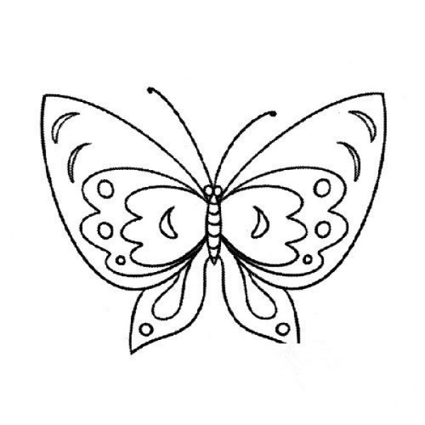 Simple drawings about butterflies