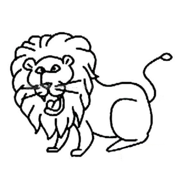 Simple lion drawing picture