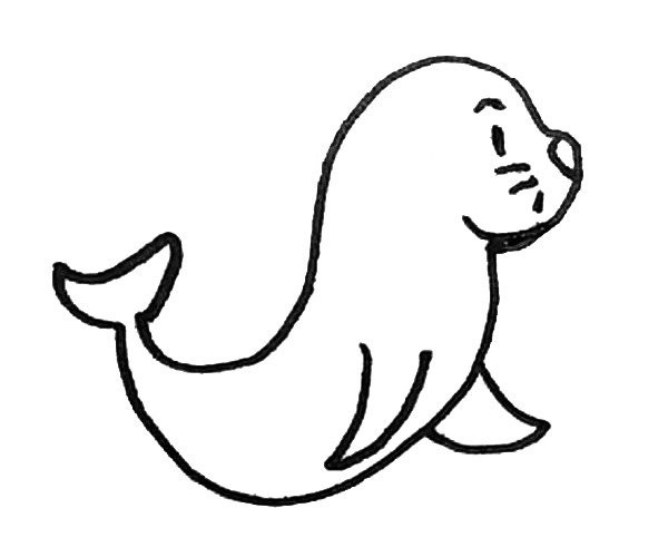 Draw a seal in a few simple steps