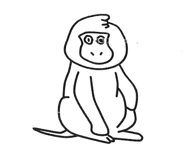 A complete collection of simple drawing pictures of baboon