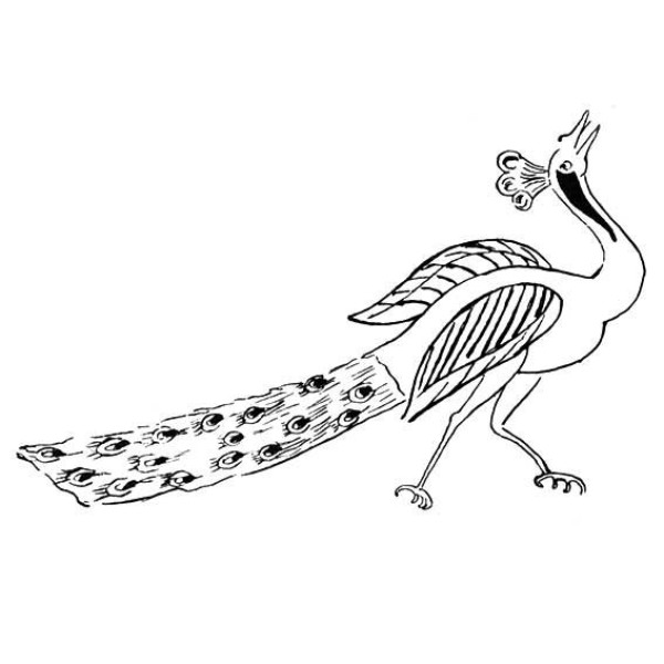 Proud peacock simple drawing