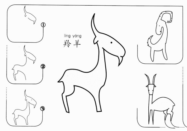 How to draw an antelope