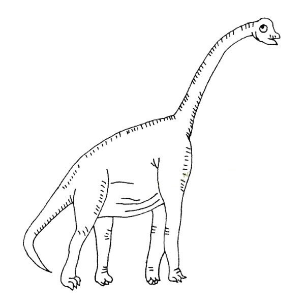 Brachiosaurus simple strokes picture