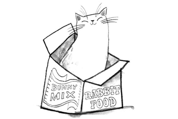 Cute kitten and box simple drawing picture