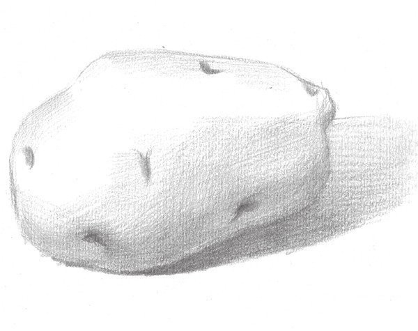 Drawing Techniques of Sketching Potatoes