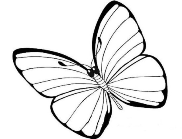 Selected simple drawings for children to learn to draw butterflies