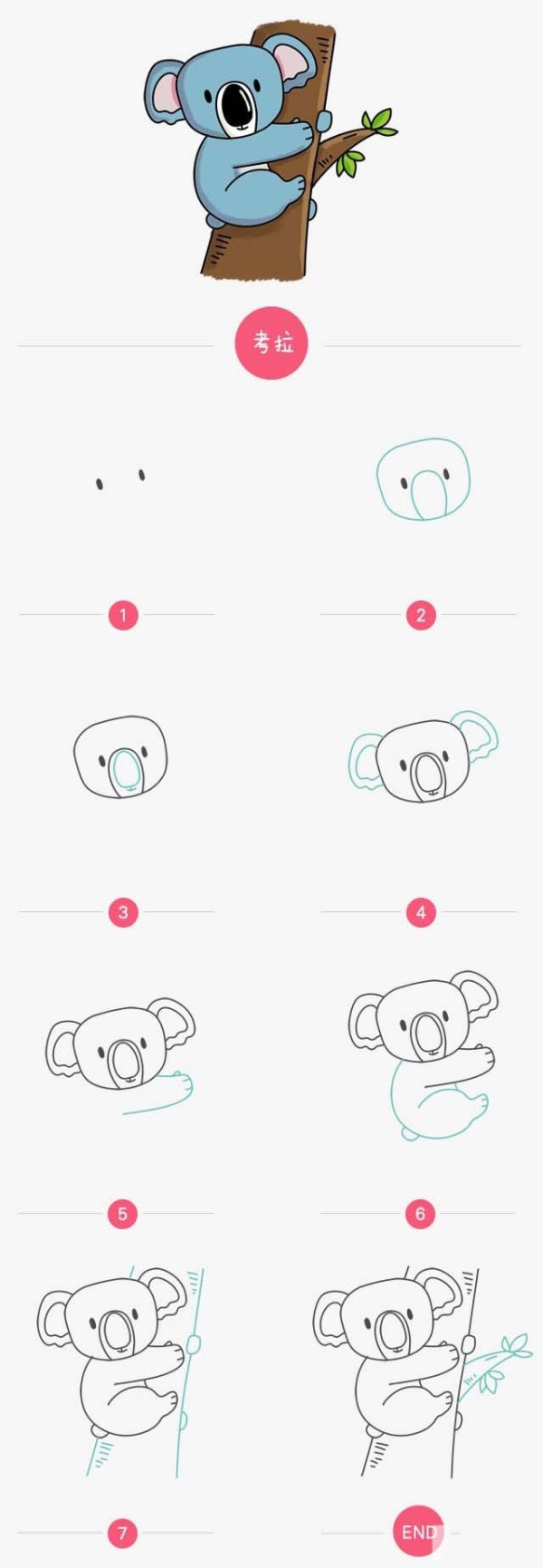 Simple drawing tutorial, simple drawing steps of koala