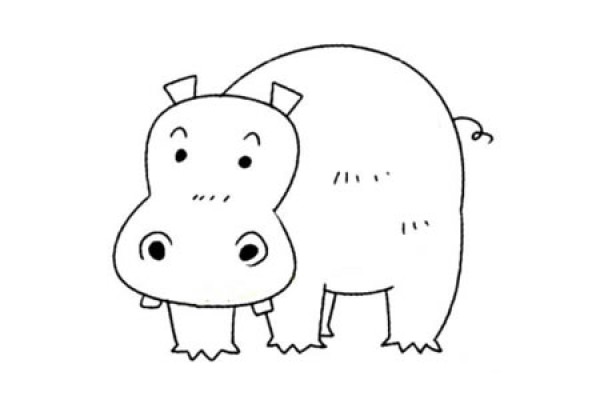 Basic drawing methods of small animals Simple drawing tutorial of hippopotamus