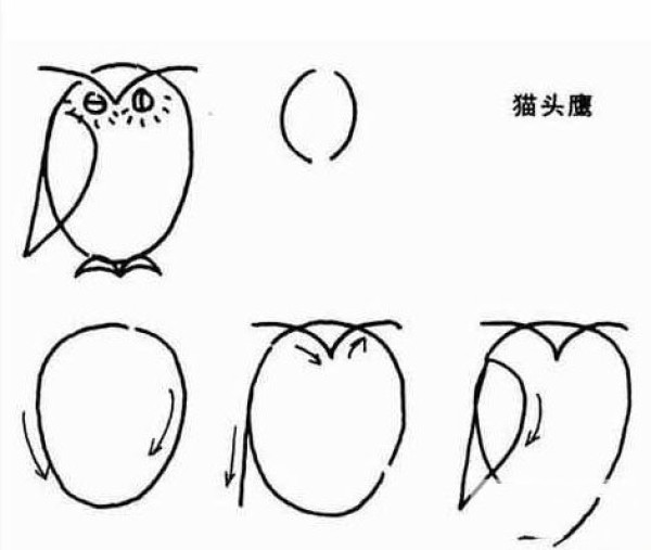 Simple drawing tutorial for children Owl