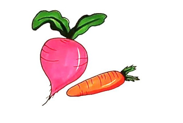 How to draw a radish in simple strokes