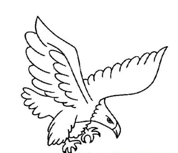 eagle