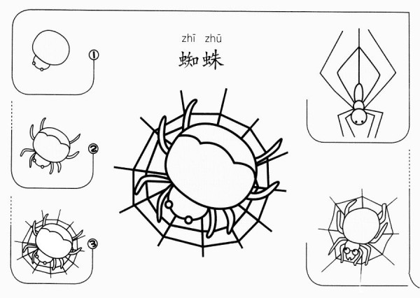 How to draw a spider