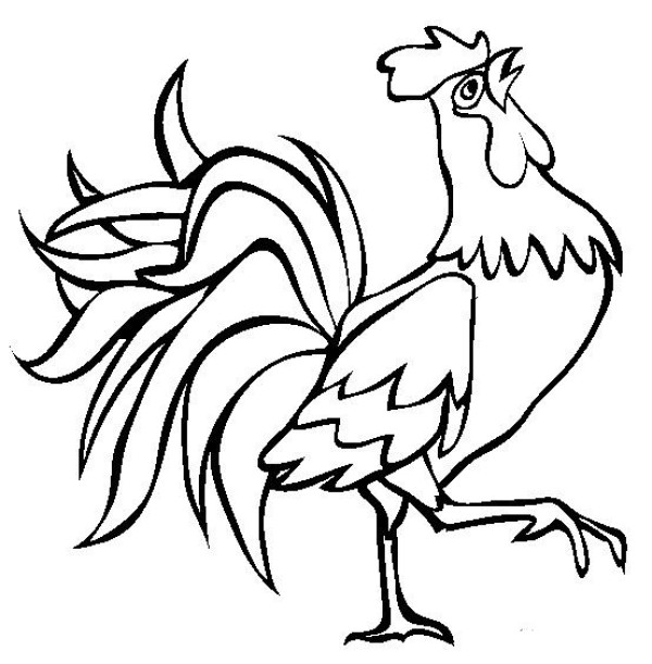 Simple drawing of rooster Simple drawing of big rooster