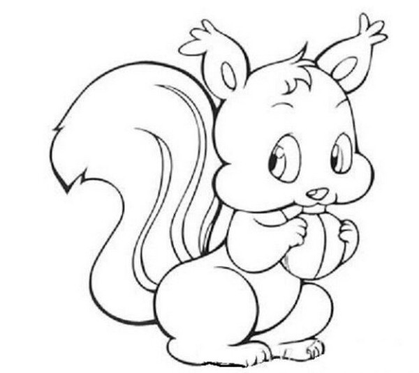 Nervous little squirrel simple drawing