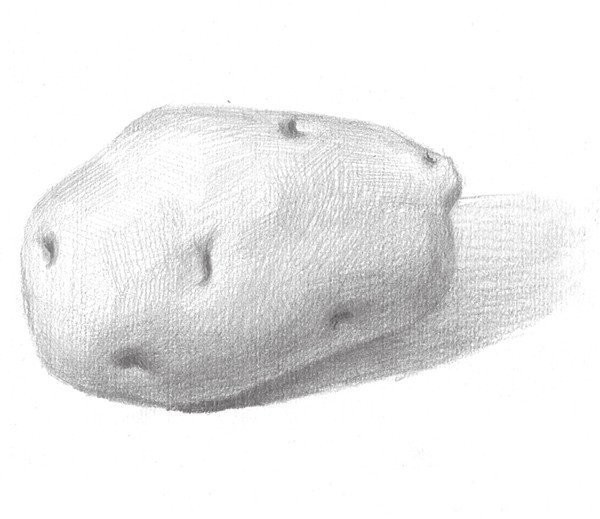 Drawing Techniques of Sketching Potatoes