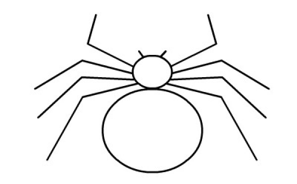 Simple drawing animation tutorial: how to draw a spider