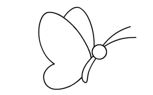 Simple drawing animation tutorial: butterfly drawing decomposition steps