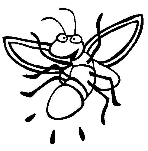 Insect pictures firefly simple drawing pictures