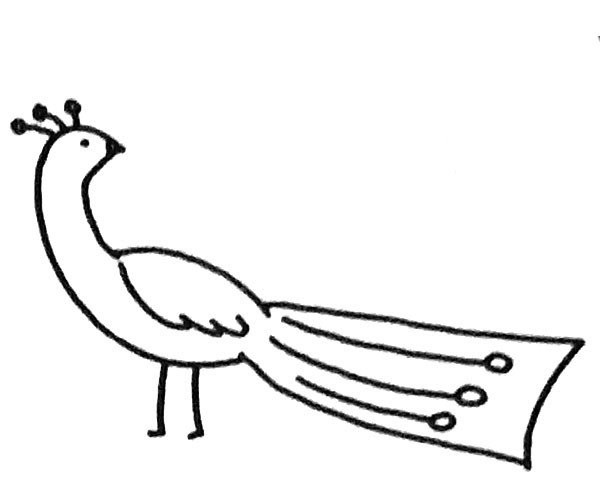 Learn to draw a simple peacock