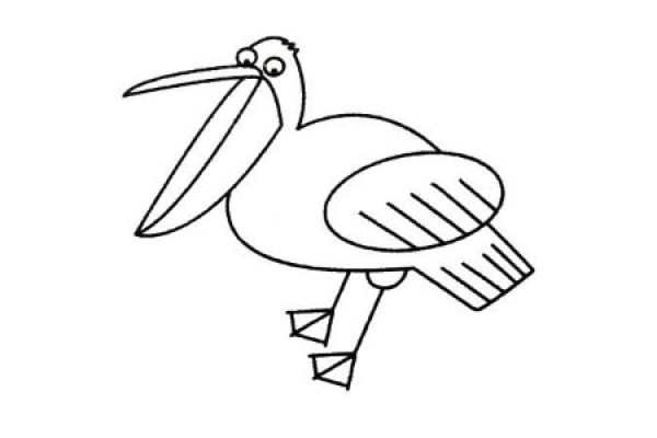 Complete collection of simple strokes of pelican and drawing steps