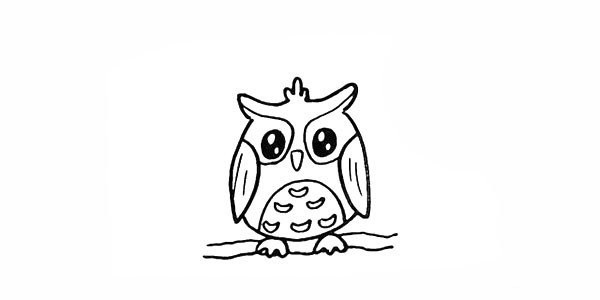 How to draw an owl