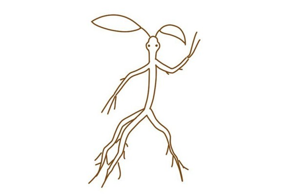 Fantastic Beasts and Where to Find Them Let’s draw a cute Bowtruckle together