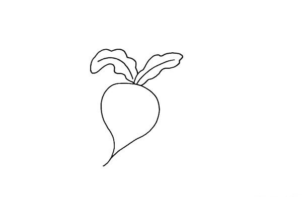 How to draw red radish