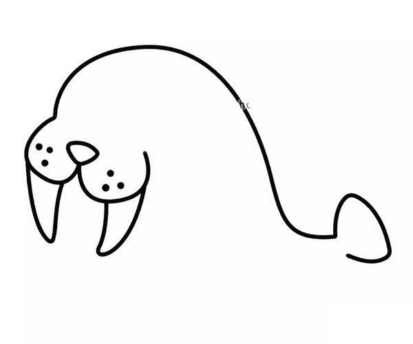 Happy seal simple strokes