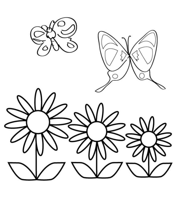 Baby drawings of butterflies and flowers