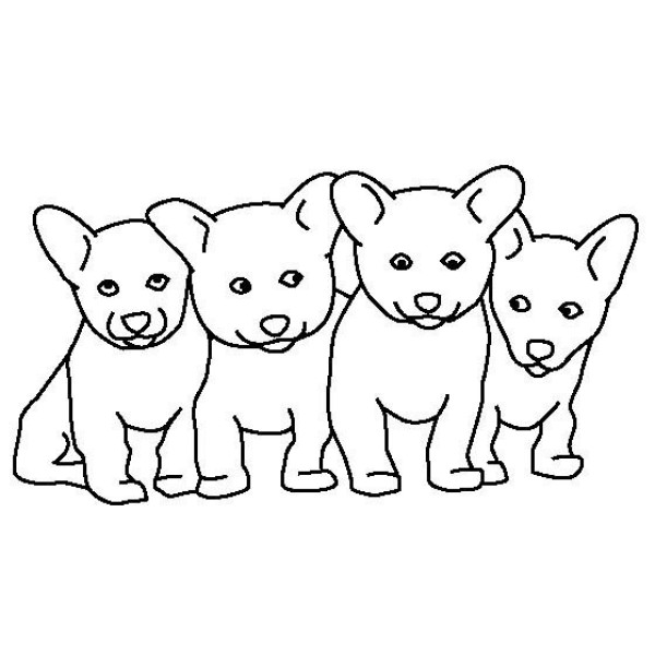 Simple drawing pictures of four pet puppies