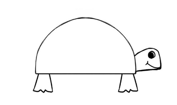 How to draw a cute little turtle in nine steps