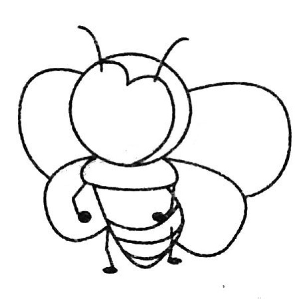 Bee simple drawing pictures and drawing steps