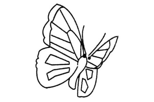 A complete collection of simple butterfly drawing pictures and drawing steps