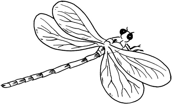 Cute dragonfly simple strokes