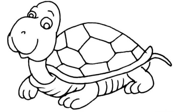 How to Draw a Cartoon Turtle Simple Drawing