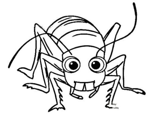 Grasshopper simple drawing picture