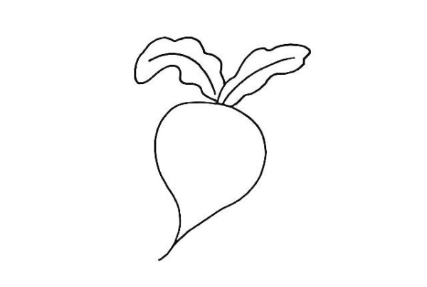 How to draw a radish in simple strokes