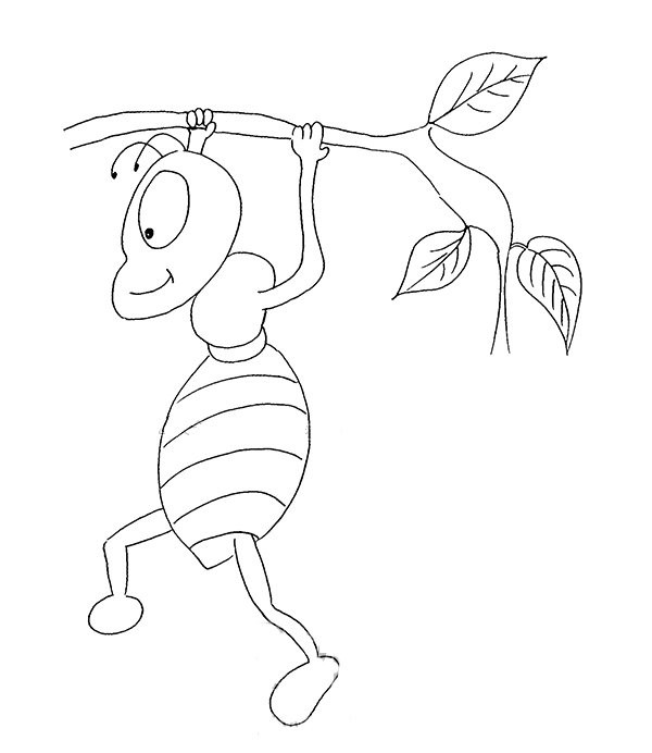 Simple drawing picture of cartoon ant